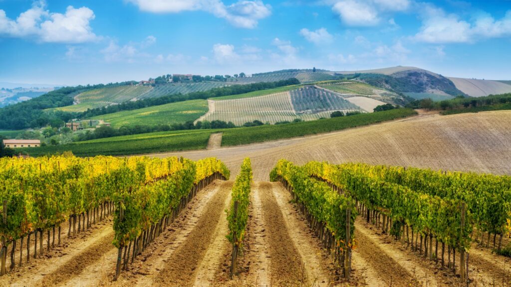 About CELCAA - European Liaison Committee for Agricultural and Agri-Food Trade